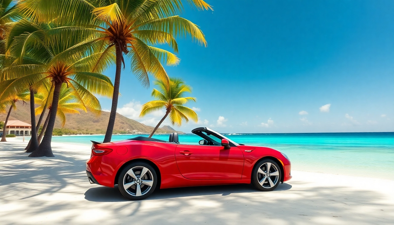 Rent a car st barth on a tropical beach with palm trees and turquoise waters, inviting relaxation.